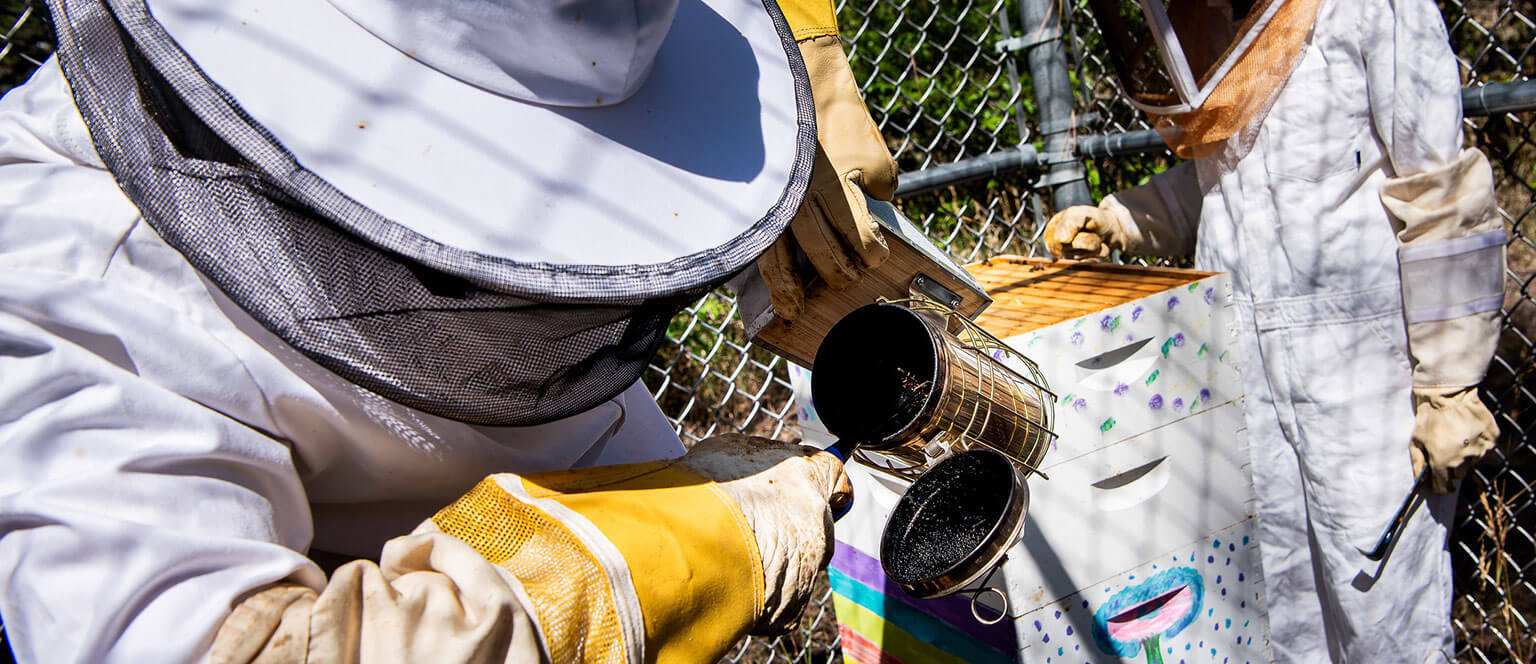 A cadet working as part of the Beekeeping Club at the Academy.