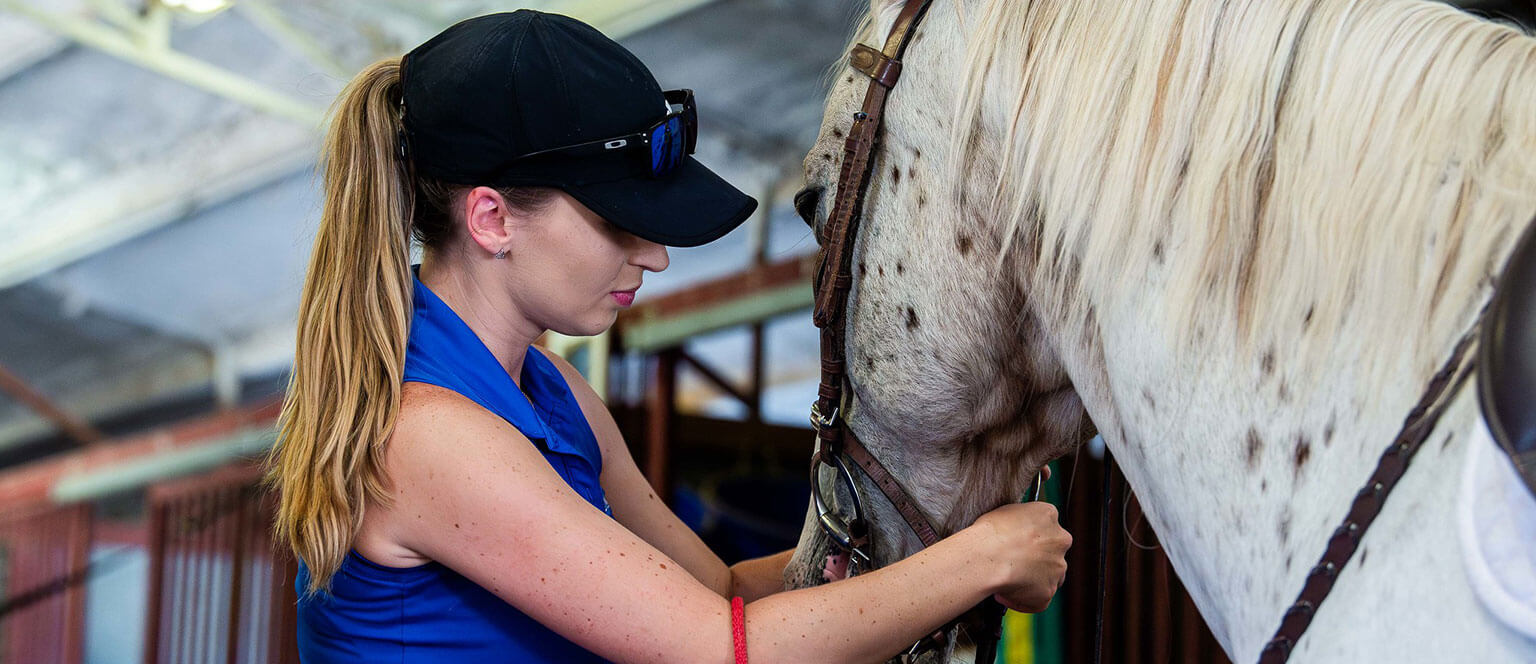A cadet taking care of a horse at the Academy stables.