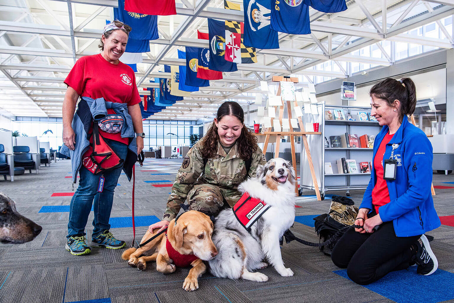 U.S. Air Force Academy Cadet 4th Class Eri McClain-Yu plays with Jessica McDonald's Go Team Therapy Crisis and Airport Dog Rigley, left, and Kendra Mauer's Khloe, right, in McDermott Library Dec. 11, 2023. (U.S. Air Force photo by Rayna Grace)