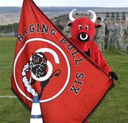 CS-06 flag with bull mascot