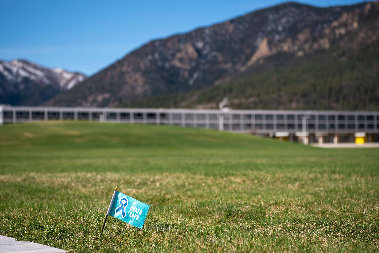 Many teal Sexual Assault Prevention and Response flags line the Terrazzo.