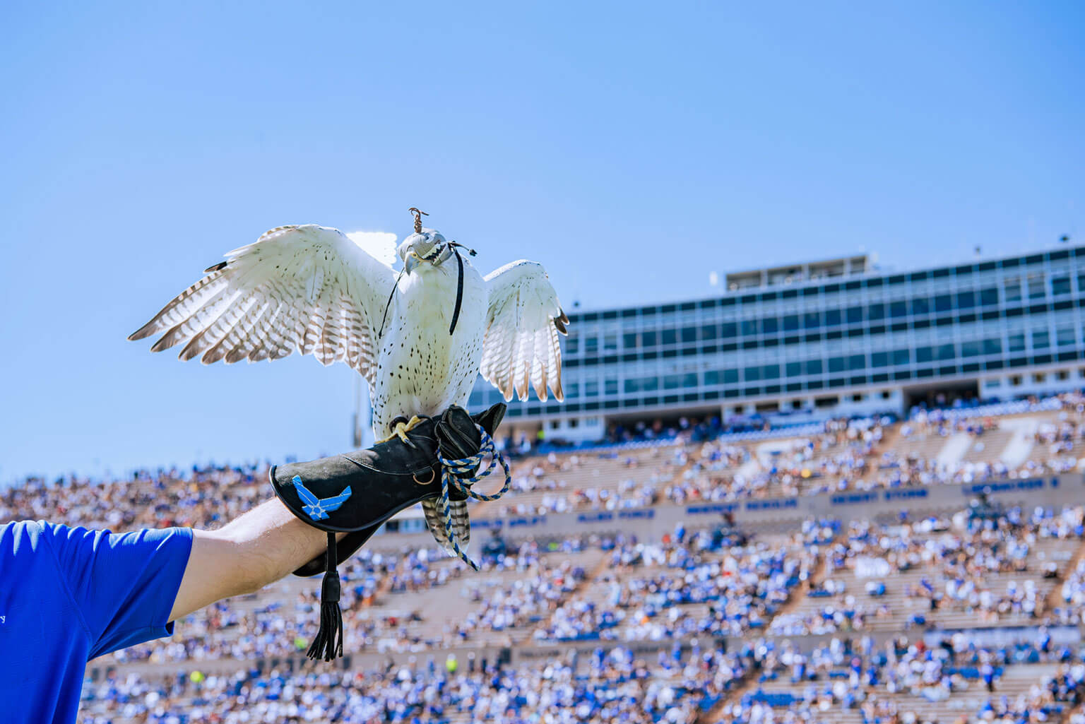 Nova, the U.S. Air Force Academy's mascot performing at Falcon Stadium. Nova, the U.S. Air Force Academy's mascot performing at Falcon Stadium.