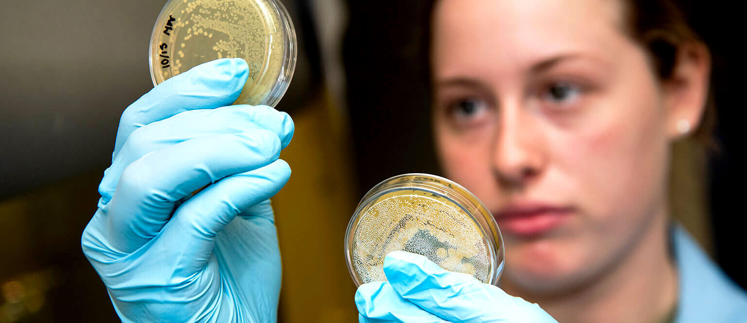 Cadet looking at petri dishes