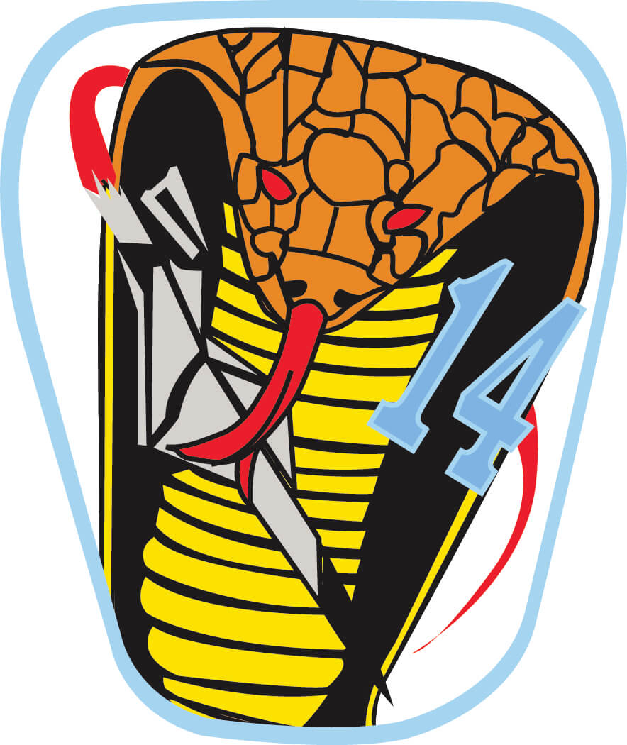 Squadron 14: Cobras