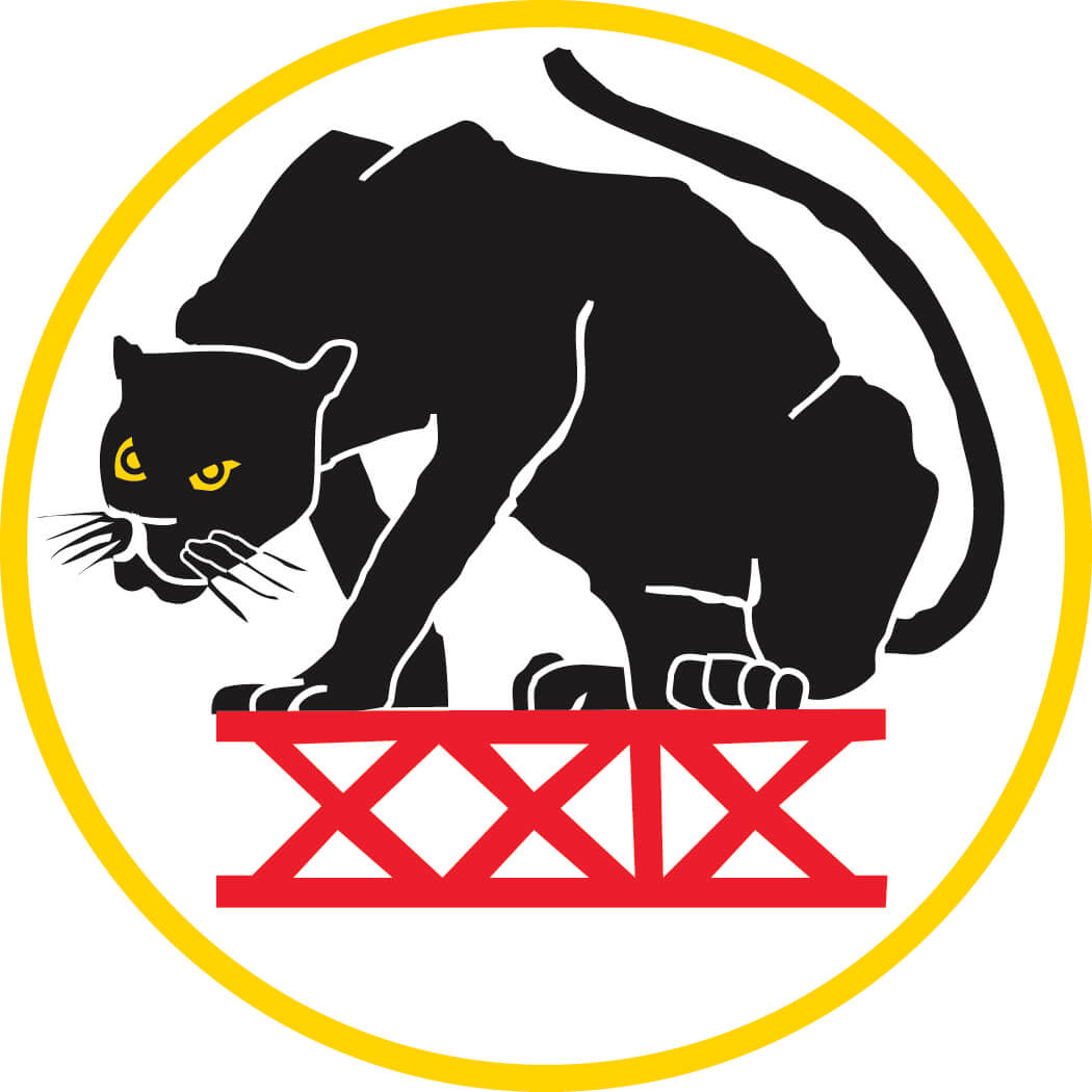 Squadron 29: Black Panthers