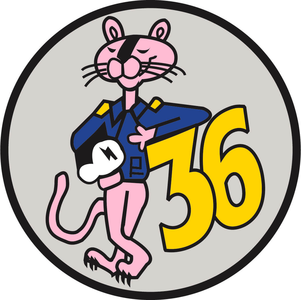Squadron 36: Pink Panthers