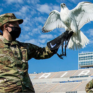 Cadet with falcon