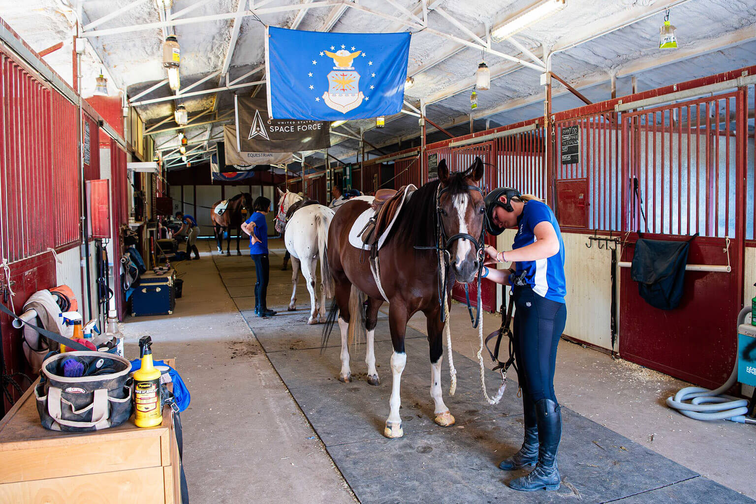 cadet grooming horse in stable.