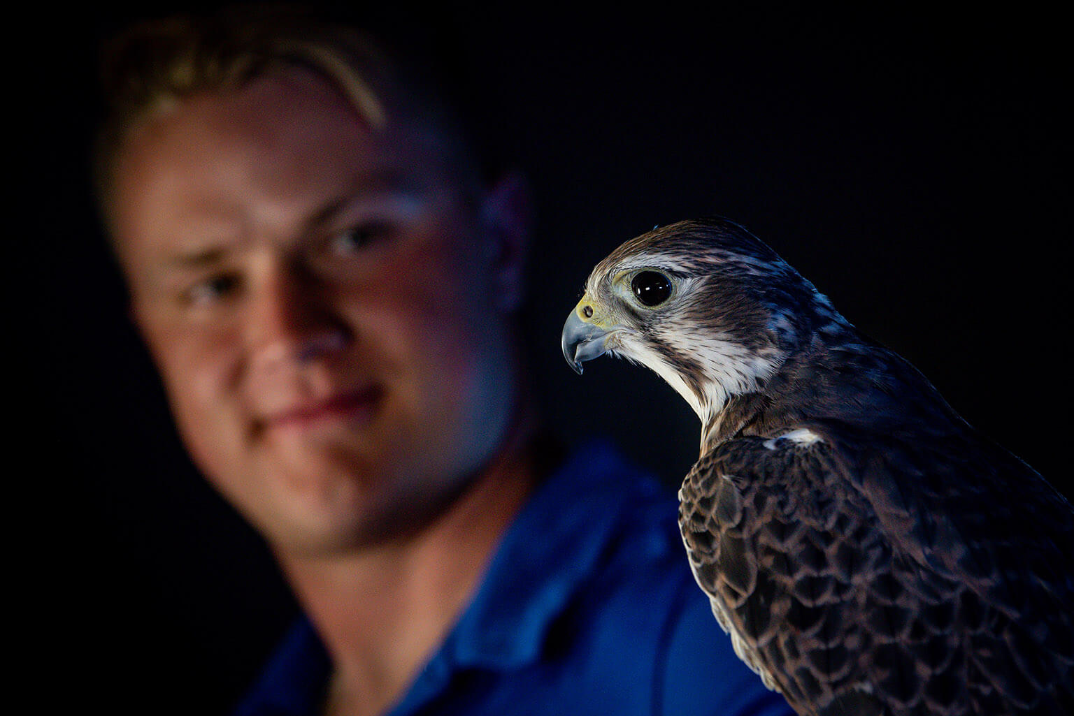 U.S. Air Force Academy Falconry Team Cadet 1st Class Evan Komschlies displays Kara