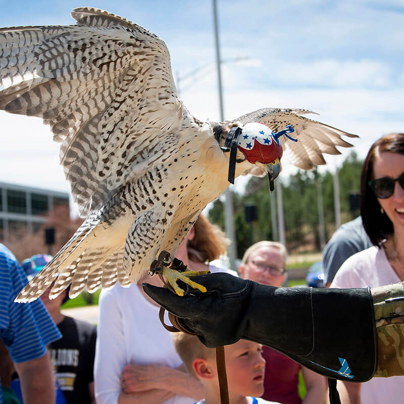 Cadet with falcon.