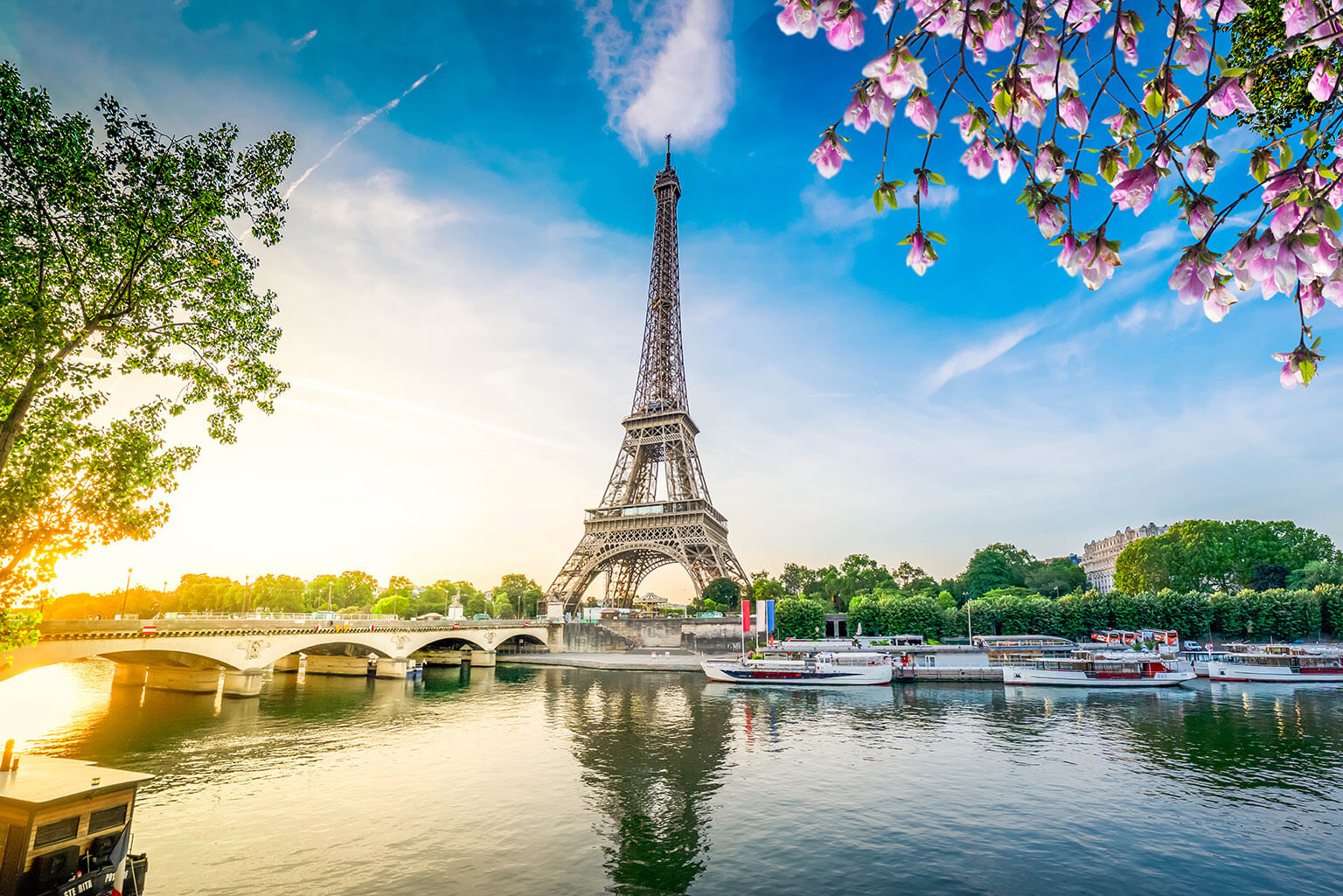Eiffel Tower and river Seine