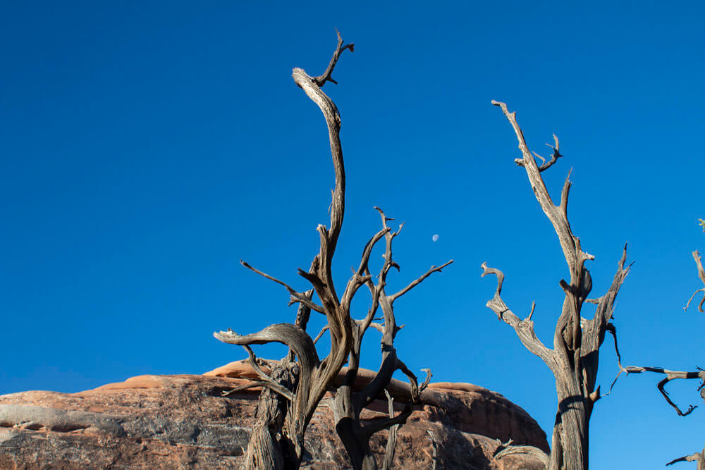 Arches National Park Moab, Utah I