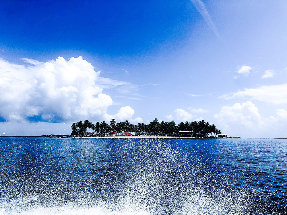 Isla Pelican