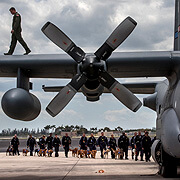 Graphic image of dogs boarding a C-130.