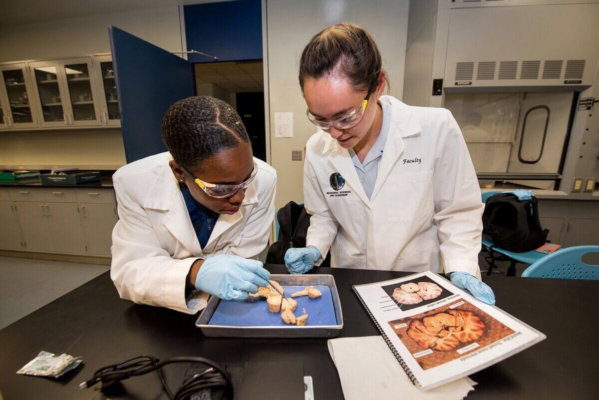 Cadets examining dissection