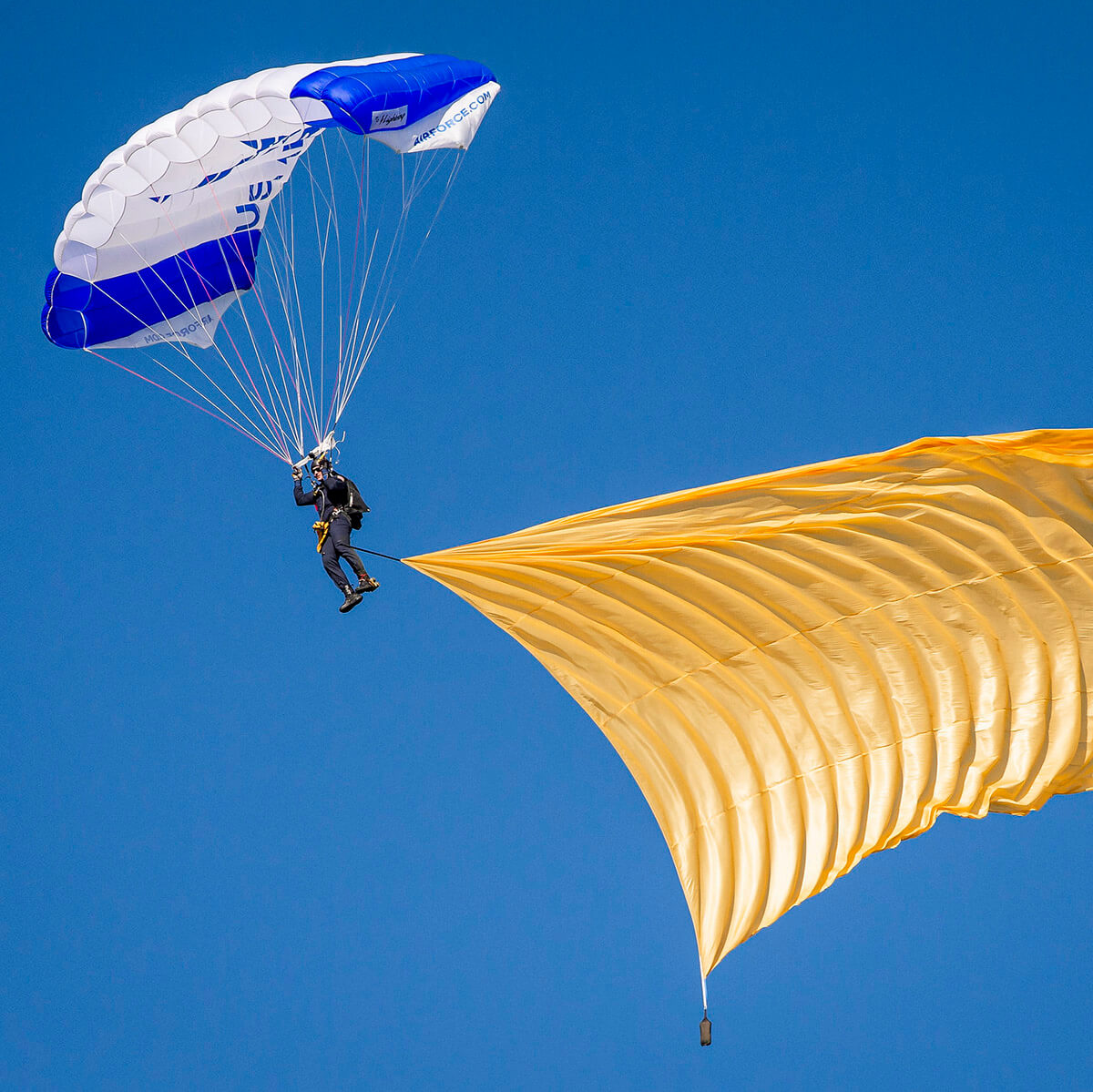 Wings of Blue demonstration
