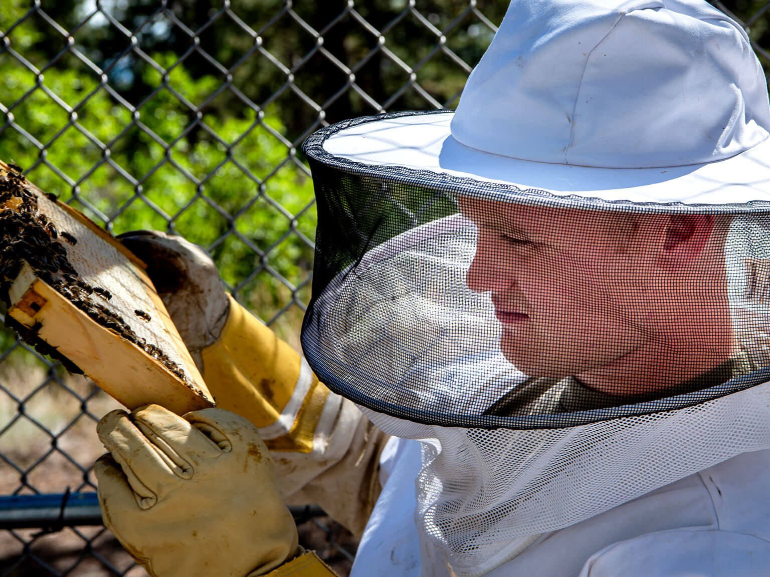 Cadet studying honeycomb in protective beekeeping attire.