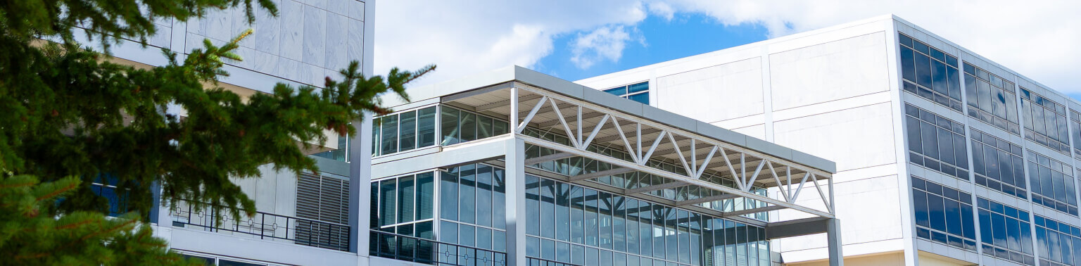 The McDermott Library, located in the cadet area, provides collegiate and professional-level reference, research and reading collections that support the academic and mission needs of the Academy.