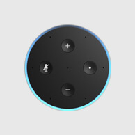 Image of an Alexa.